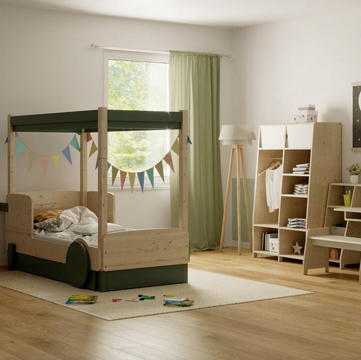 Discovery Canopy Bed